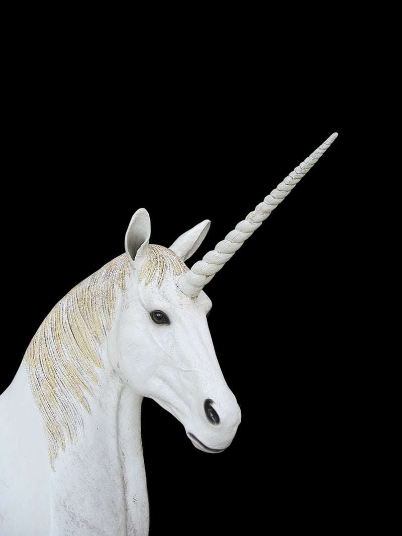 Unicorn Decorations